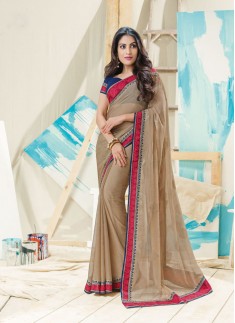 Beautiful Saree With Elegant Border And Contrast Blouse