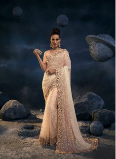 PEACH DEGITAL NET SAREE