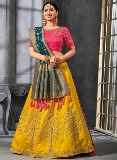 Stunning Lehenga Choli With Decent Work